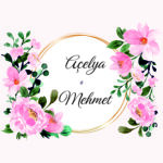 Dans Pisti Tasarım #Kına #102