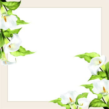 Dans Pisti Tasarım #Kına #122